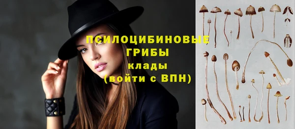 тгк Алзамай