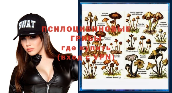 тгк Алзамай