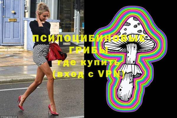 тгк Алзамай