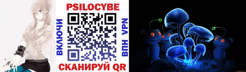 Псилоцибиновые грибы Psilocybe  Самара 