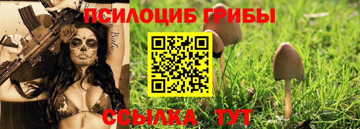 Галлюциногенные грибы мицелий  цена   Самара  Вход с VPN 
